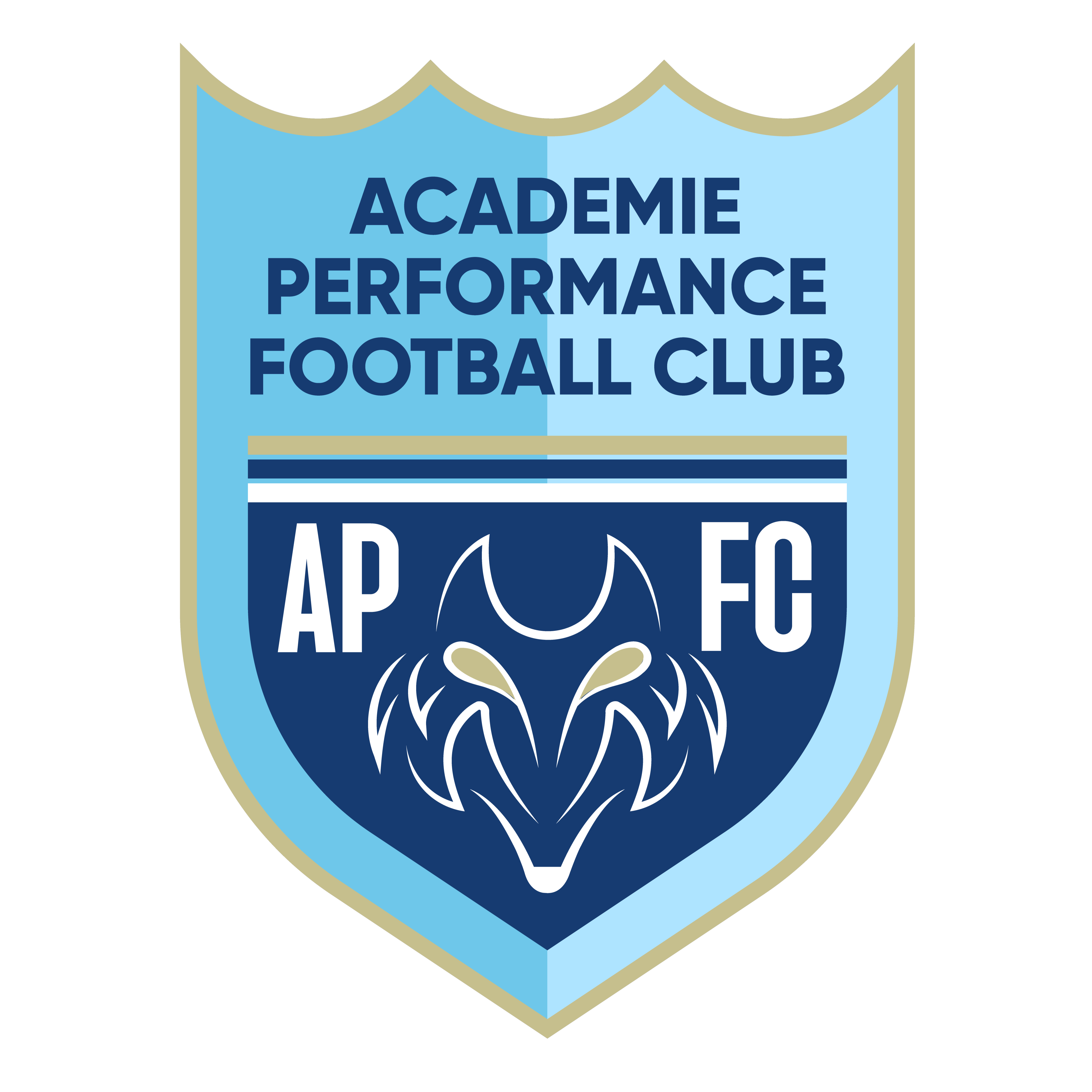 Académie Performance FC - Logo officiel